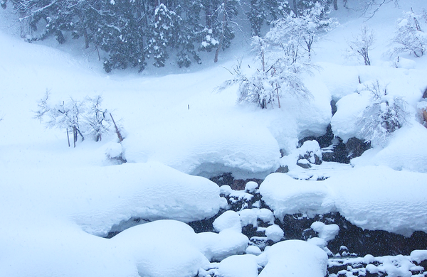 雪国｜行走在川端康成的《雪国》里- 知乎