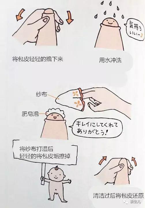 新生儿如何清洗小鸡鸡