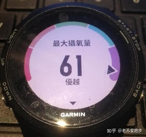 firstbeat的参数之最大摄氧量