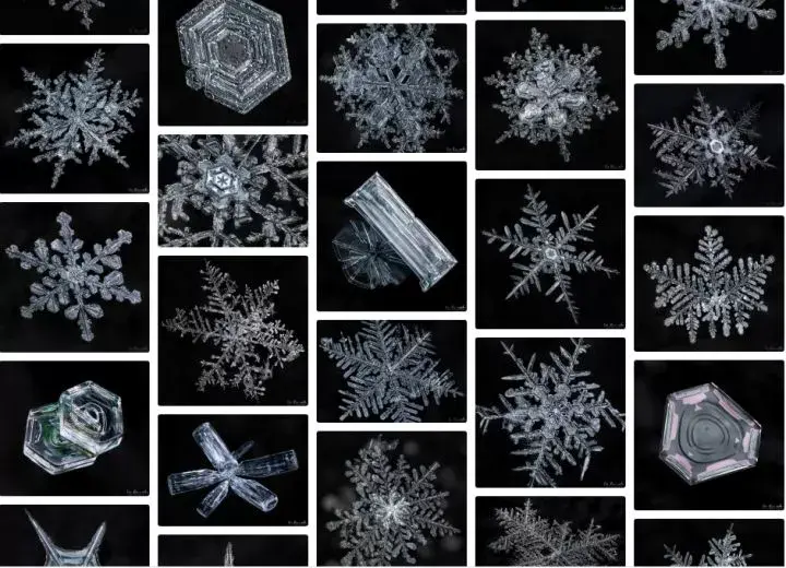 摄影师donkomarechkai来自天空的神秘结晶雪花的奥秘