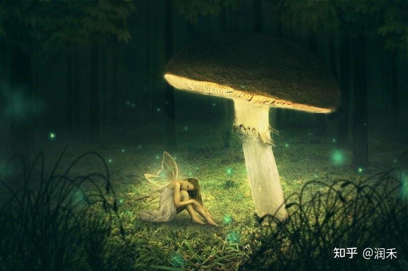 如何深入解析你的梦境(附笔记) - 知乎
