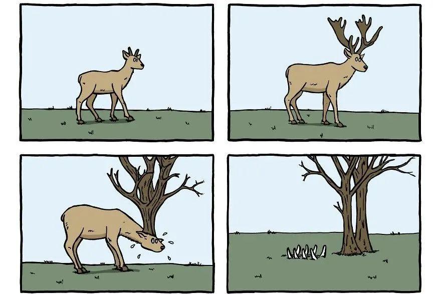 14幅无厘头的四宫格漫画结局出人意料充满幽默感