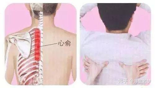 五脏常见虚劳症(阴、阳、气、血)的调理法 - 知乎