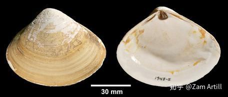 贝博体育最新新闻揭晓行业变革新动向引领体育科技融合发展