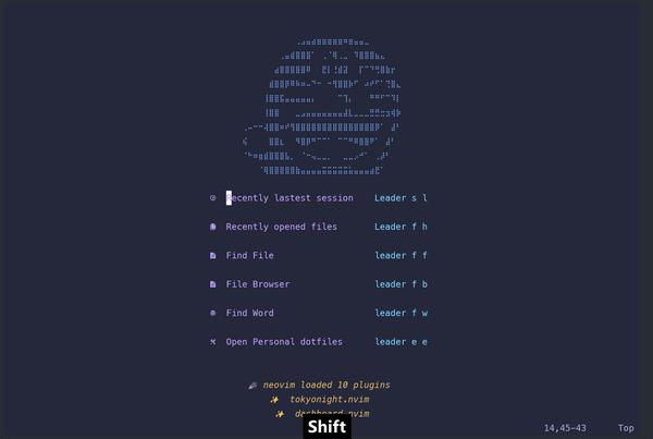 vim-19