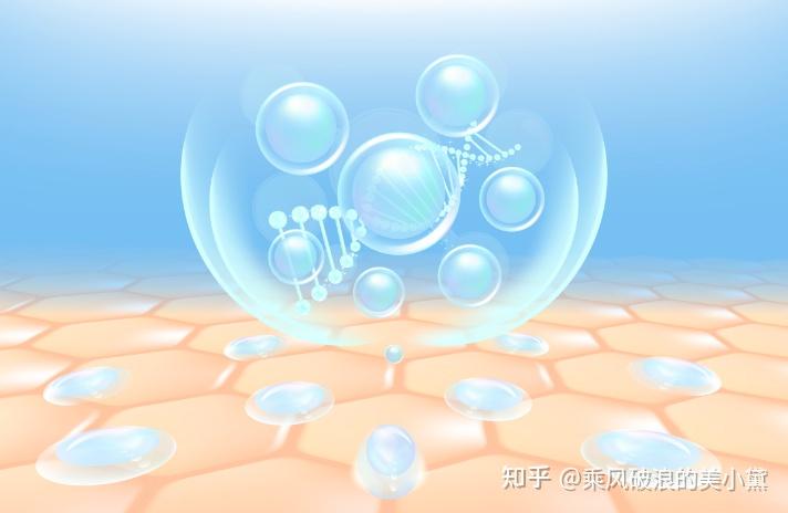 第四篇 胶原蛋白的二十九种类型你了解多少? - 知乎