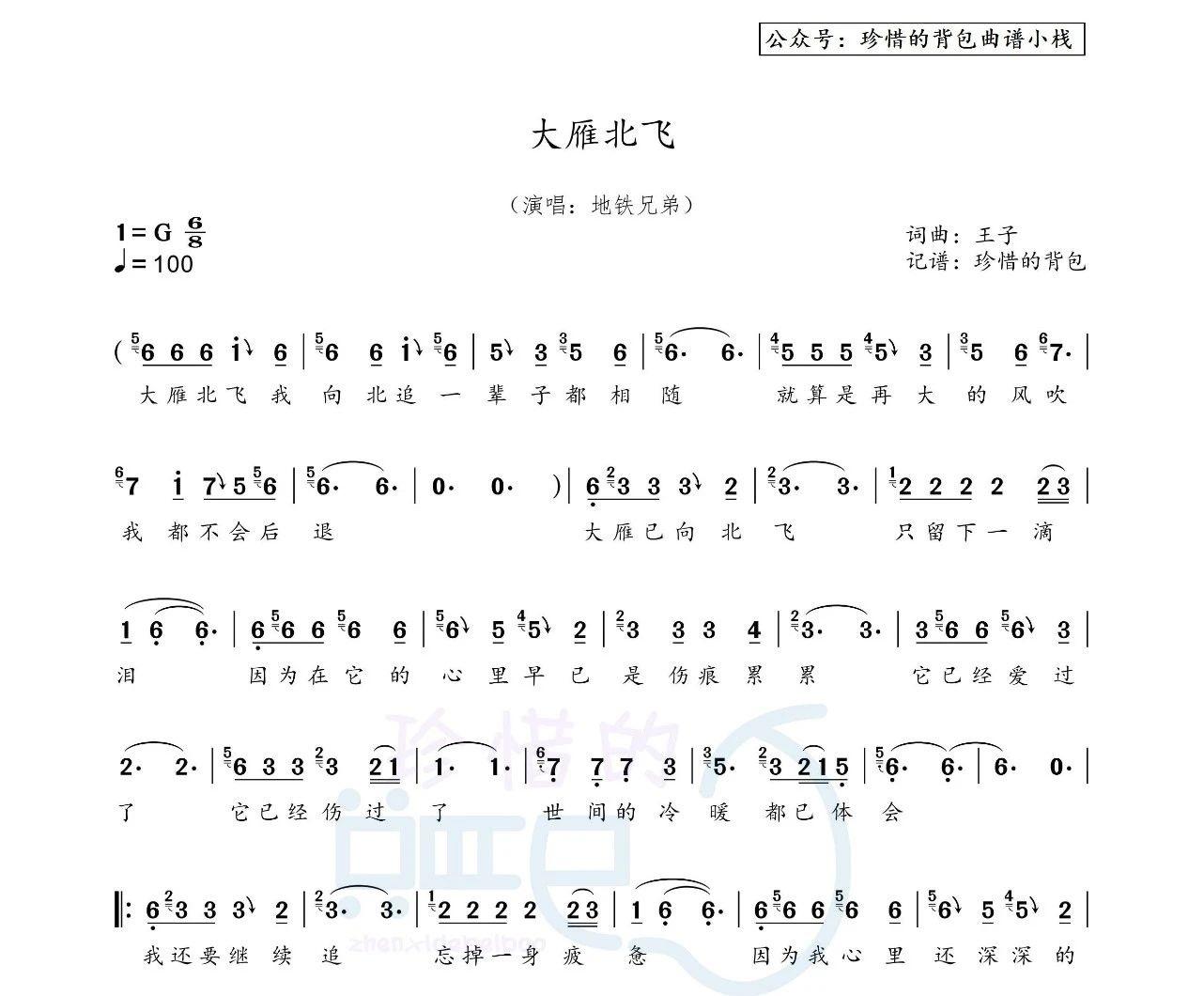 地铁兄弟 - 大雁北飞 (原版双吉他弹唱谱+标准完整版简谱) - 哔哩哔哩