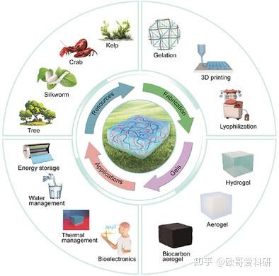 科研绘图综述图版式参考1-99张 - 知乎