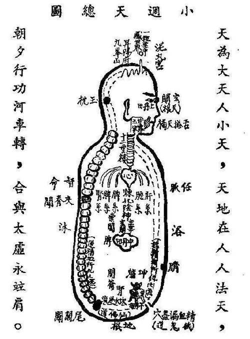 2 人 贊同了該文章 丹田的正確位置 每個人都知道練氣功要