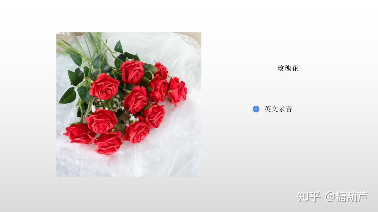 玫瑰英文課堂它們都是rose