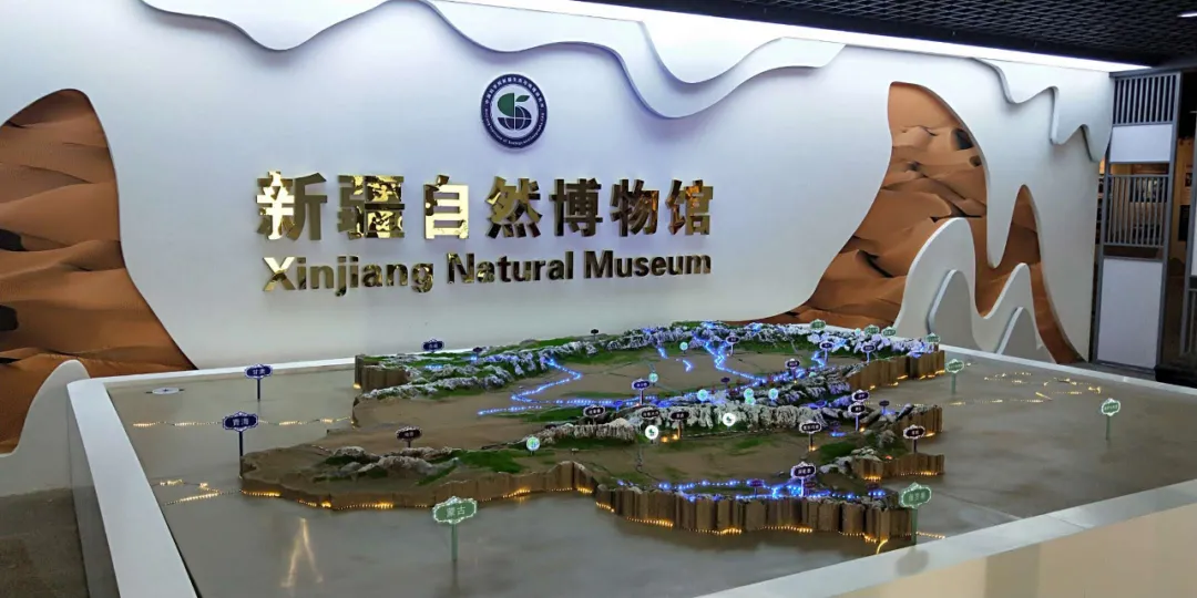 【致敬·初心】新疆自然博物馆正式开馆!