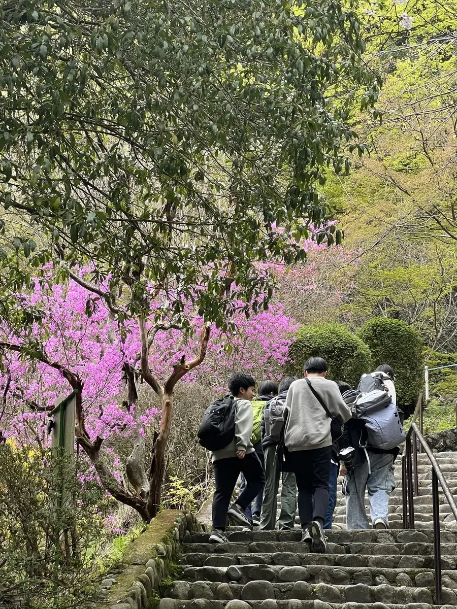 请输入图片描述