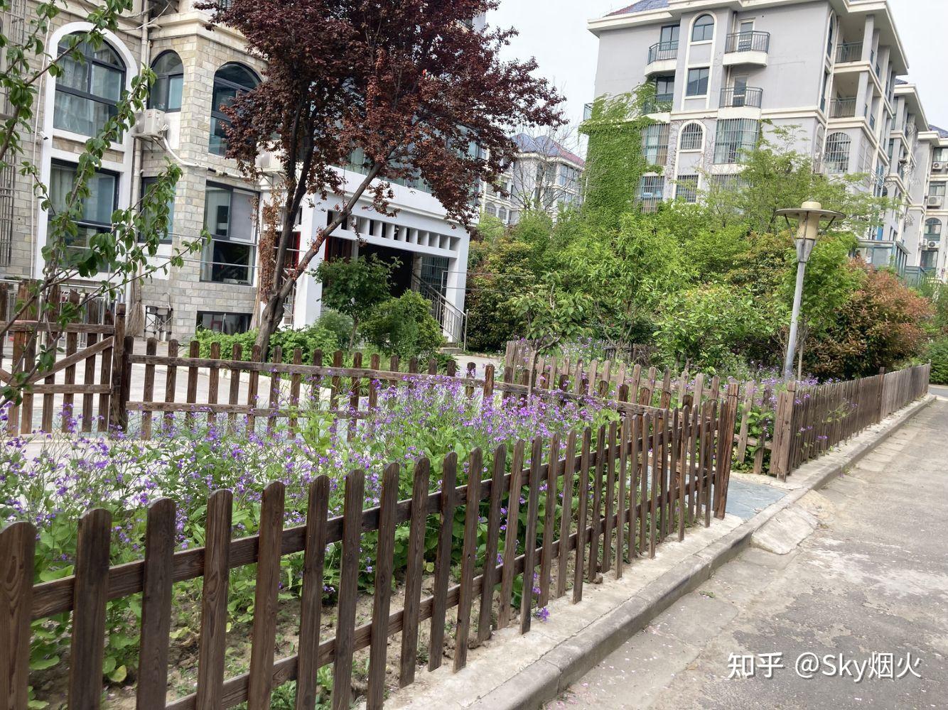 以淮安小区违建花园菜地围栏为例判定中国人中毒太深无药可救恶者自有