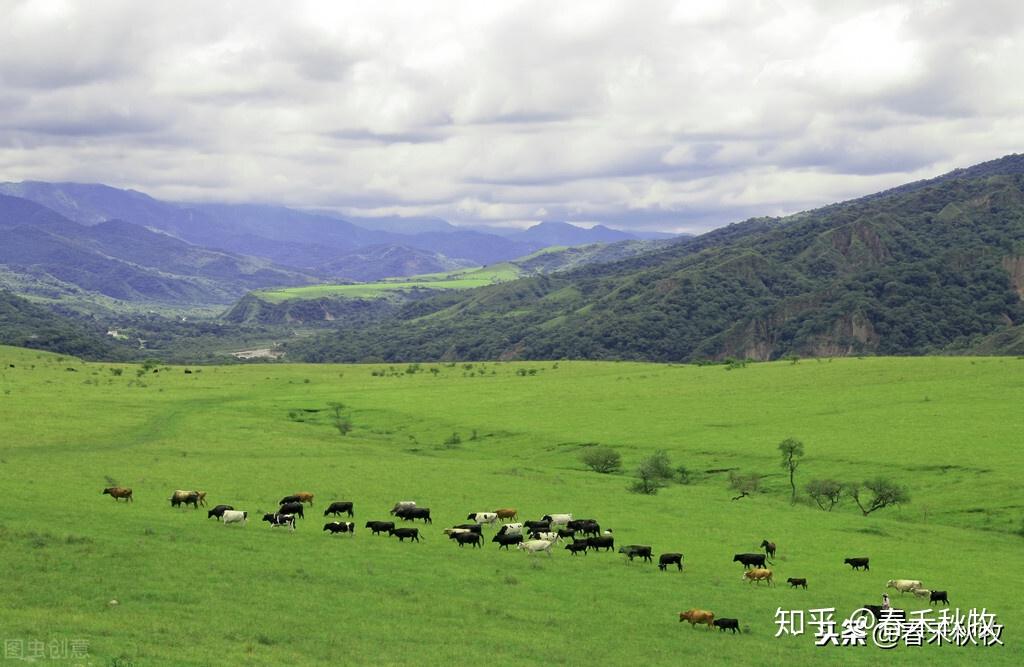 牛排从牧场到餐桌之产地篇:阿根廷 - 知乎