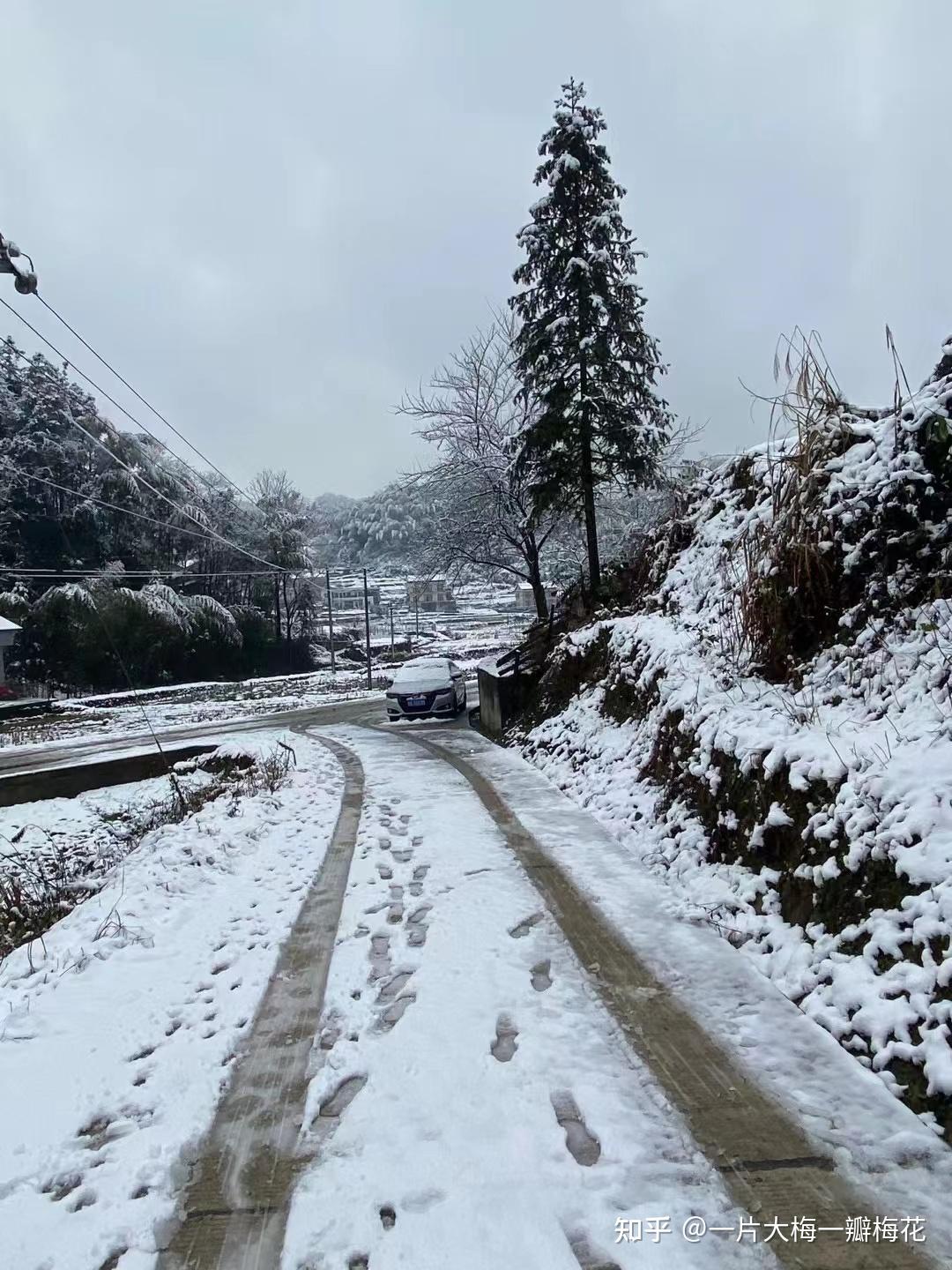 悄悄許了個願,祝山海雪景,春暖花開,人間皆安,歲歲平安