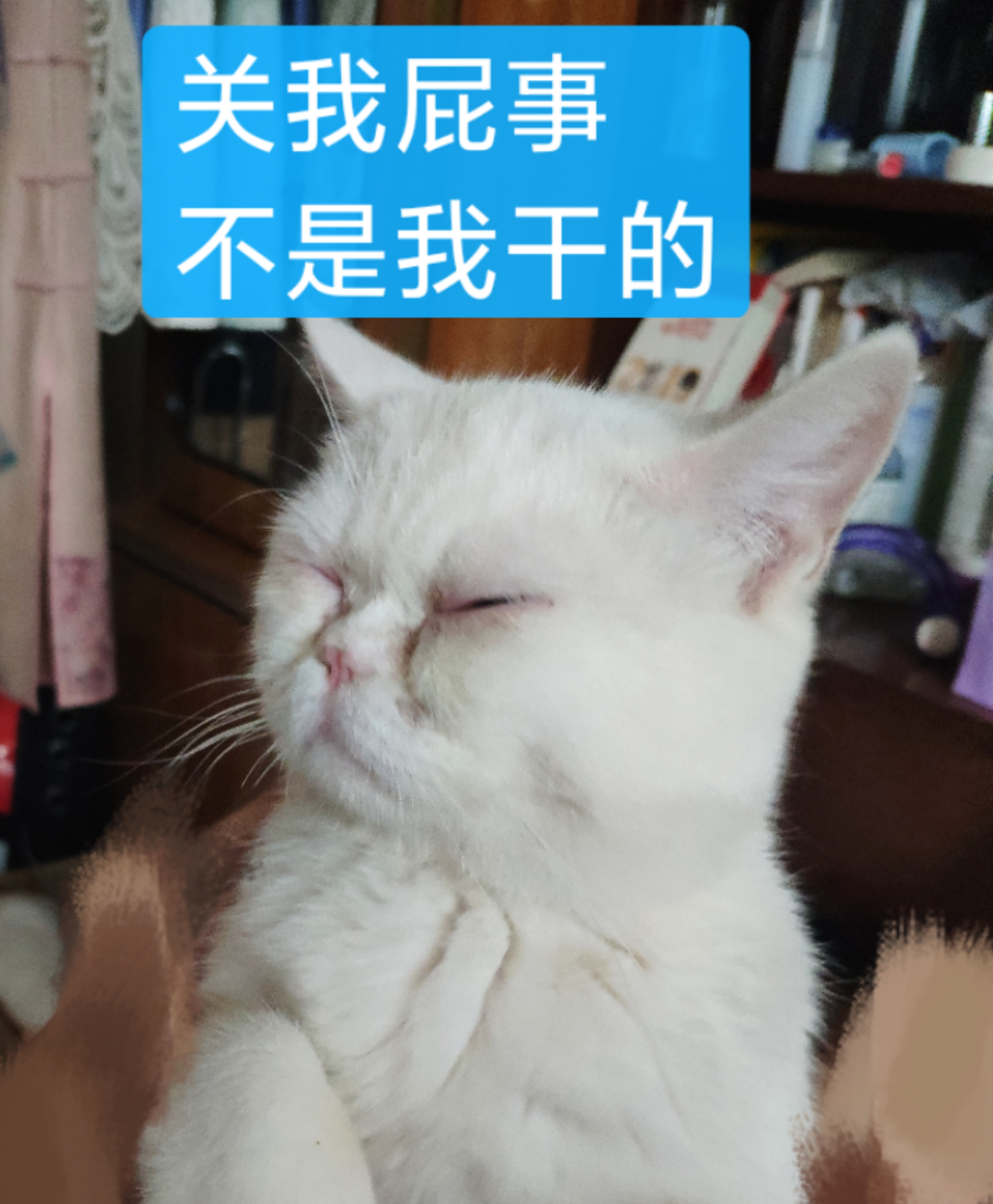 v2-02ea8ae491f3f688acad19cab2ff795f_r.jpg