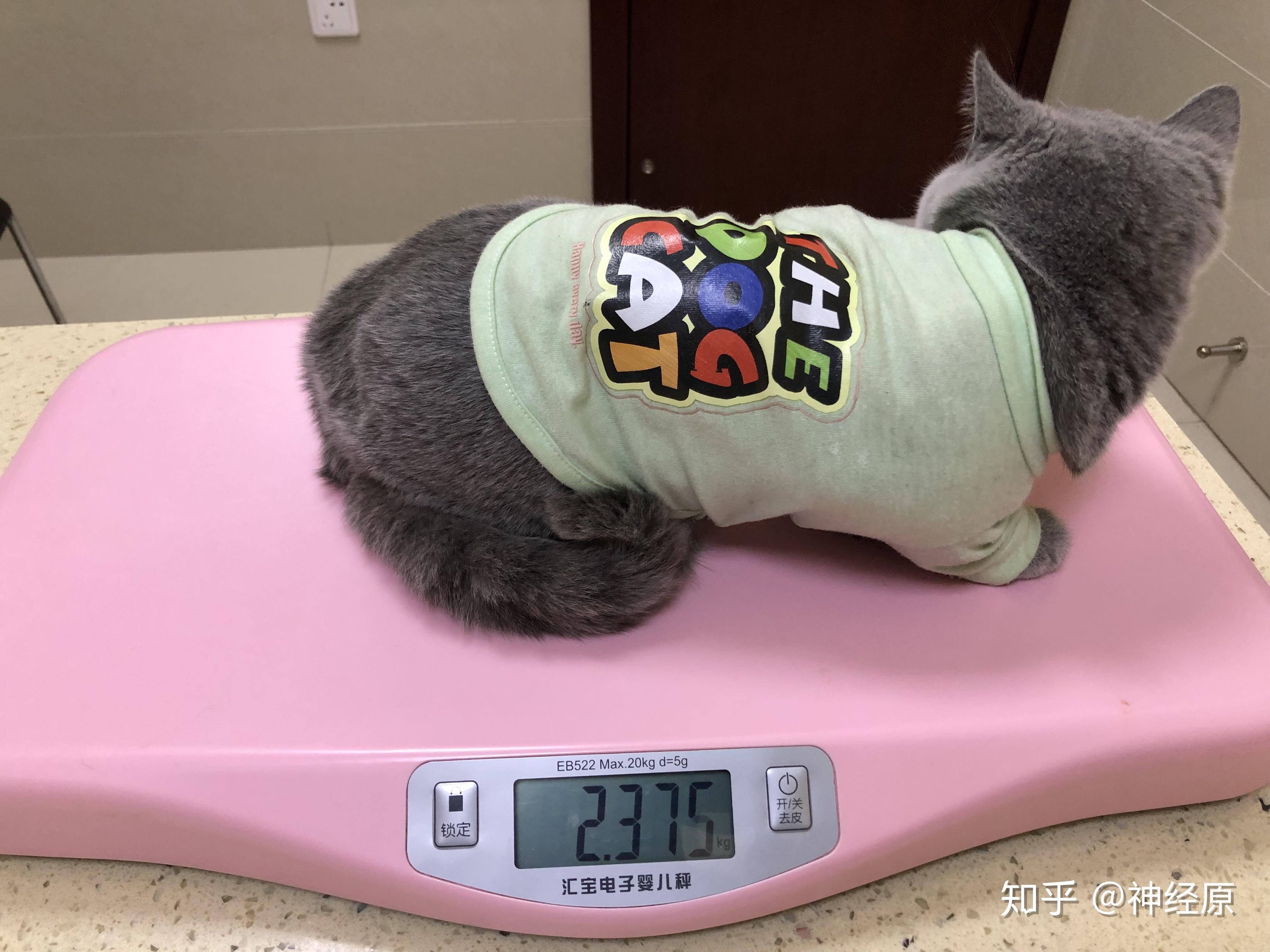 肚子腹水是怎么回事 v2-02f6b917b66b347ea2ed8167c188051b_r.jpg