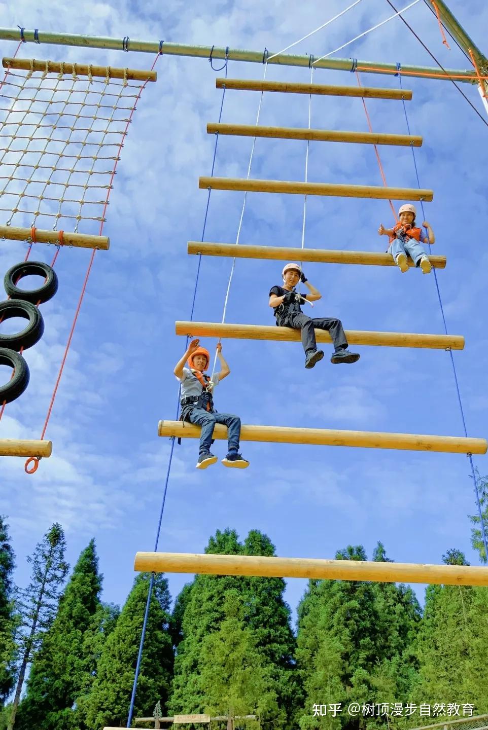 仙女山树顶漫步引自欧洲的森林互动体验