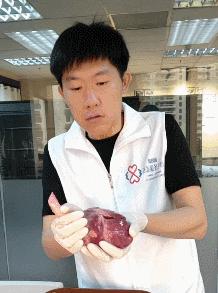 猪心解剖告诉你X光，CT，彩超室怎么做的？ - 知乎