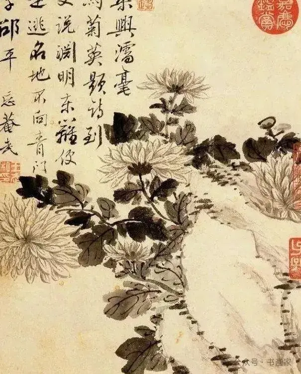 清·王武的花鸟画秀美雅致! - 知乎