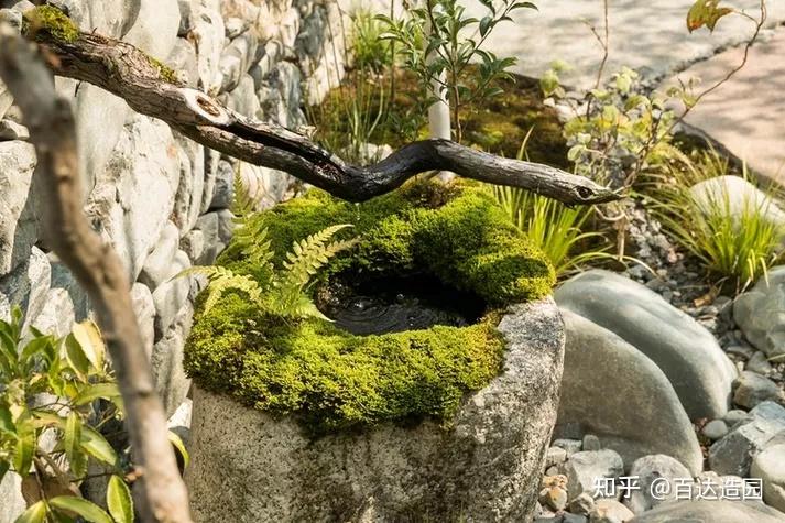 杂木庭院有哪些设计要点？ - 知乎