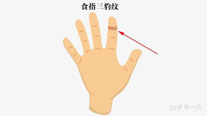 五根手指也大有文章—食指 - 知乎