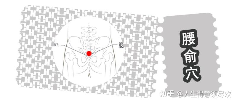 【中医穴位百科 361 讲】第 018 讲：腰俞穴 | 精准定位 + 安全手法 + 日常养护指南 - 知乎