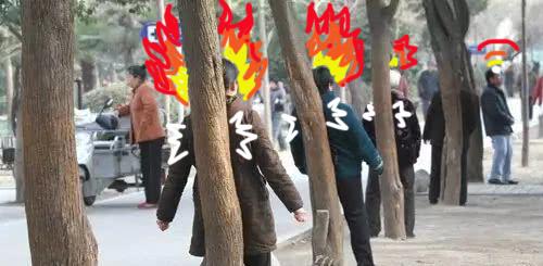 公园大爷为什么爱撞树