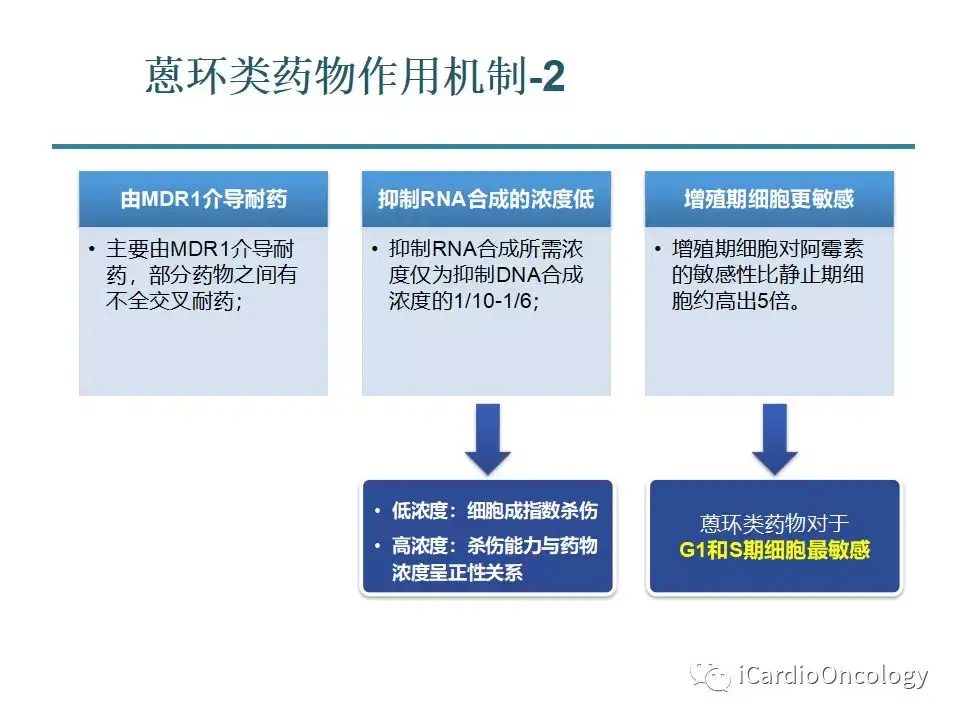 中国蒽环类药物治疗乳腺癌专家共识蒽环药物临床应用及不良反应处理篇