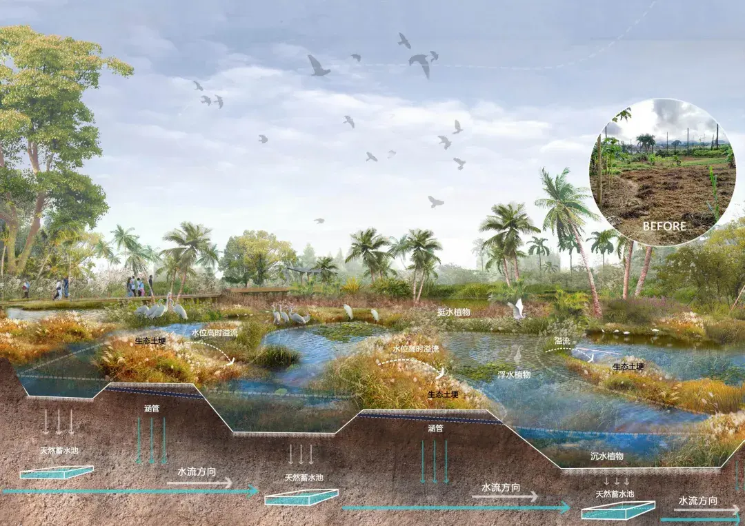 生态系统保护和修复，如何实现质的飞跃？ - 知乎