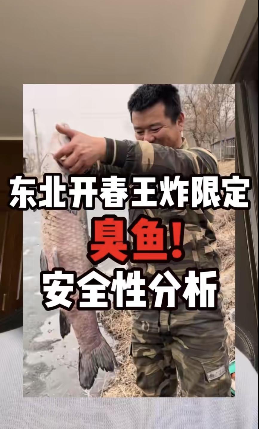 博主「食品科学阿祖」视频中提到的东北吃鱼习俗是否真实存在？