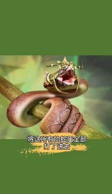 法老之蛇是什么原理?