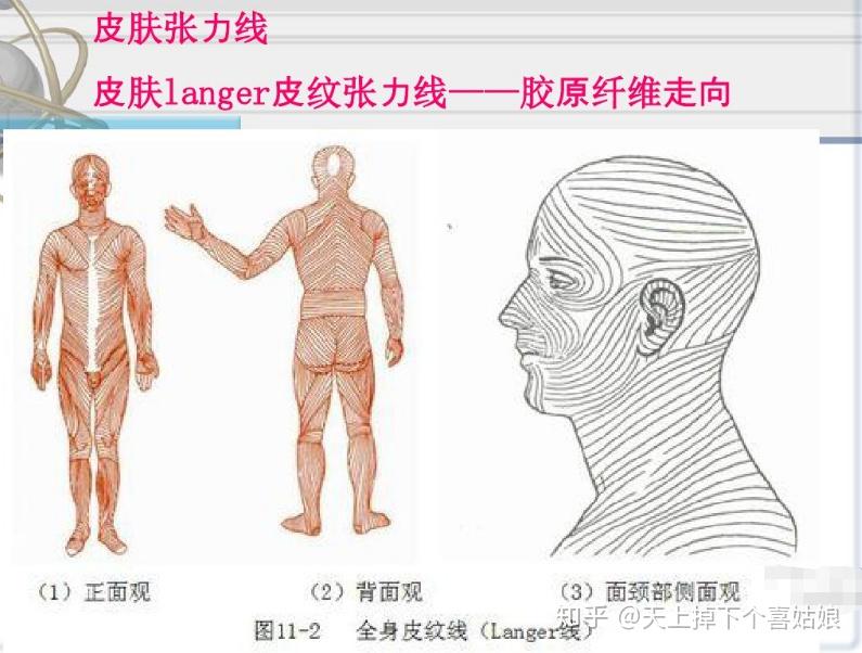 500万,帮我把这个疤去掉!