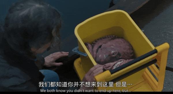 《幸运有八只触手》北美网飞电影榜第一，就这吗？