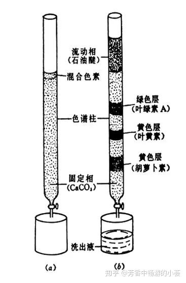 色谱分析法基础知识 知乎