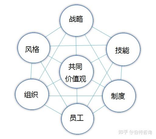 麦肯锡5Cs模型图片