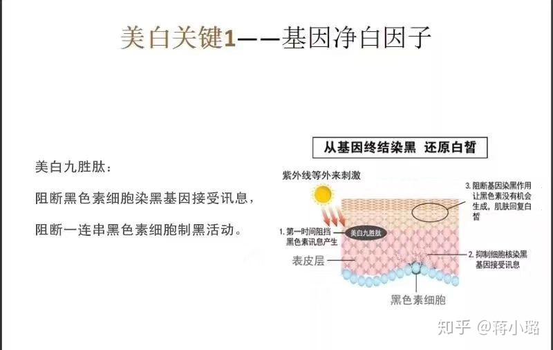 v2-03aa6a78bb1051ee3c7e3c3cabb5d9bb_r.jpg