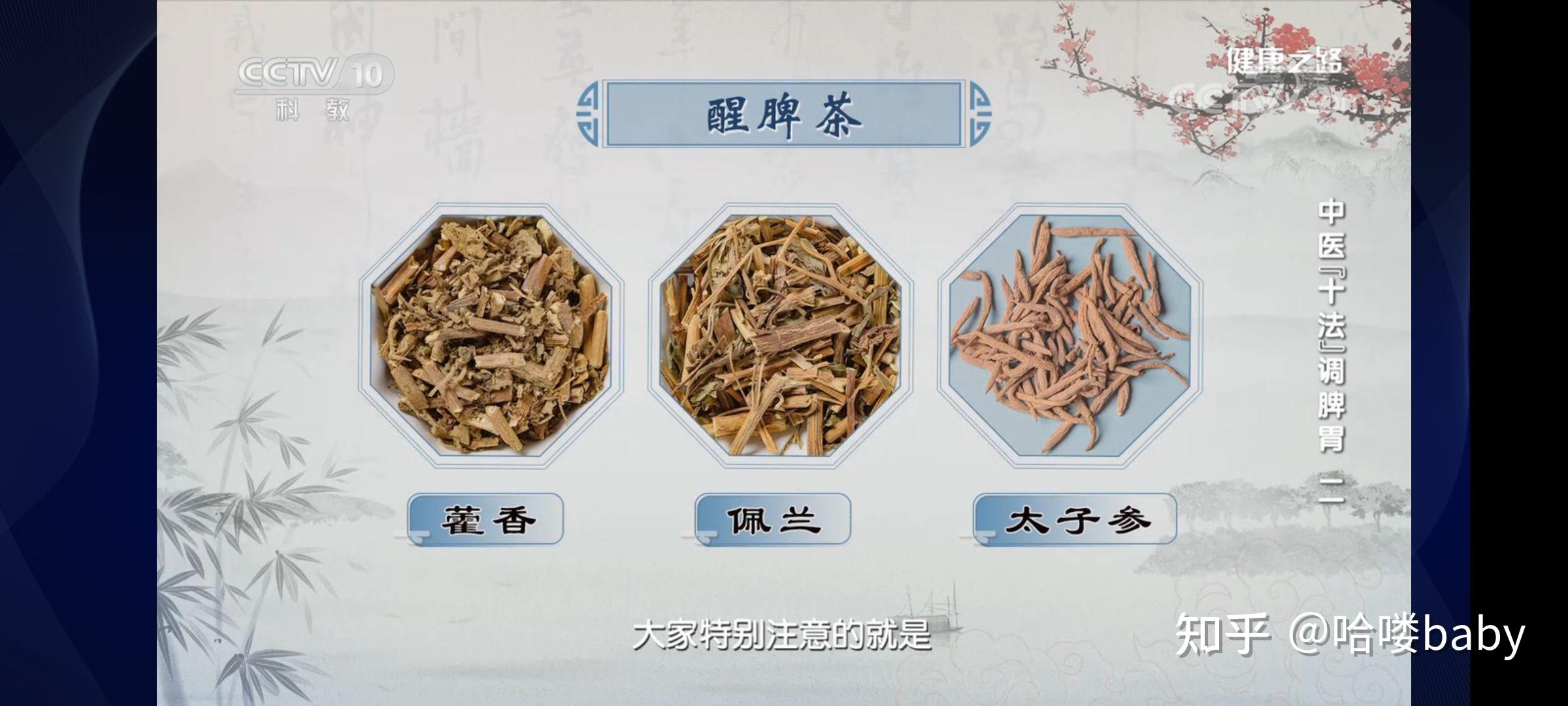 脾困 - 知乎