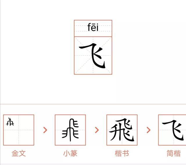 飞的汉字演变过程图图片