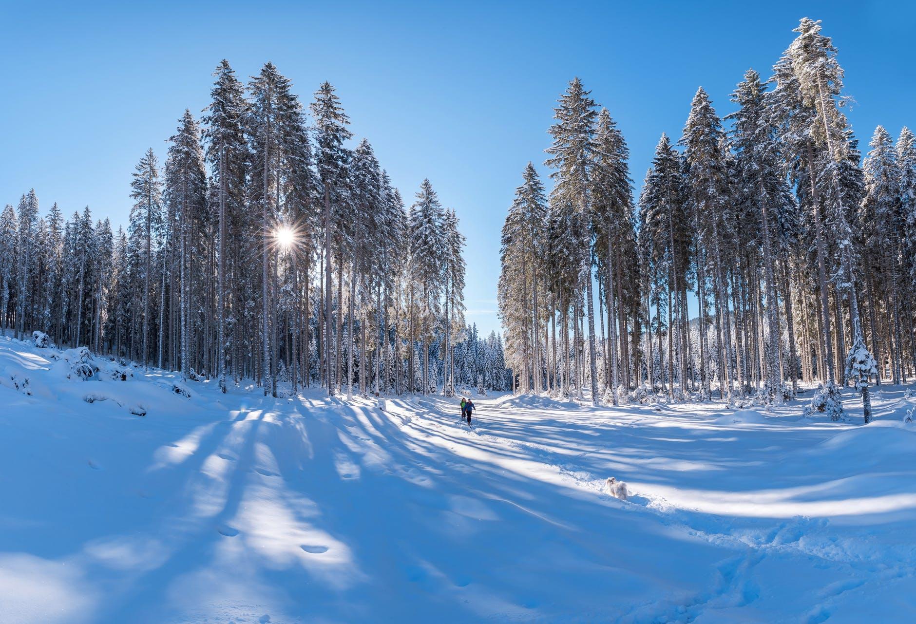 适合冬天的电脑壁纸(超美雪景)