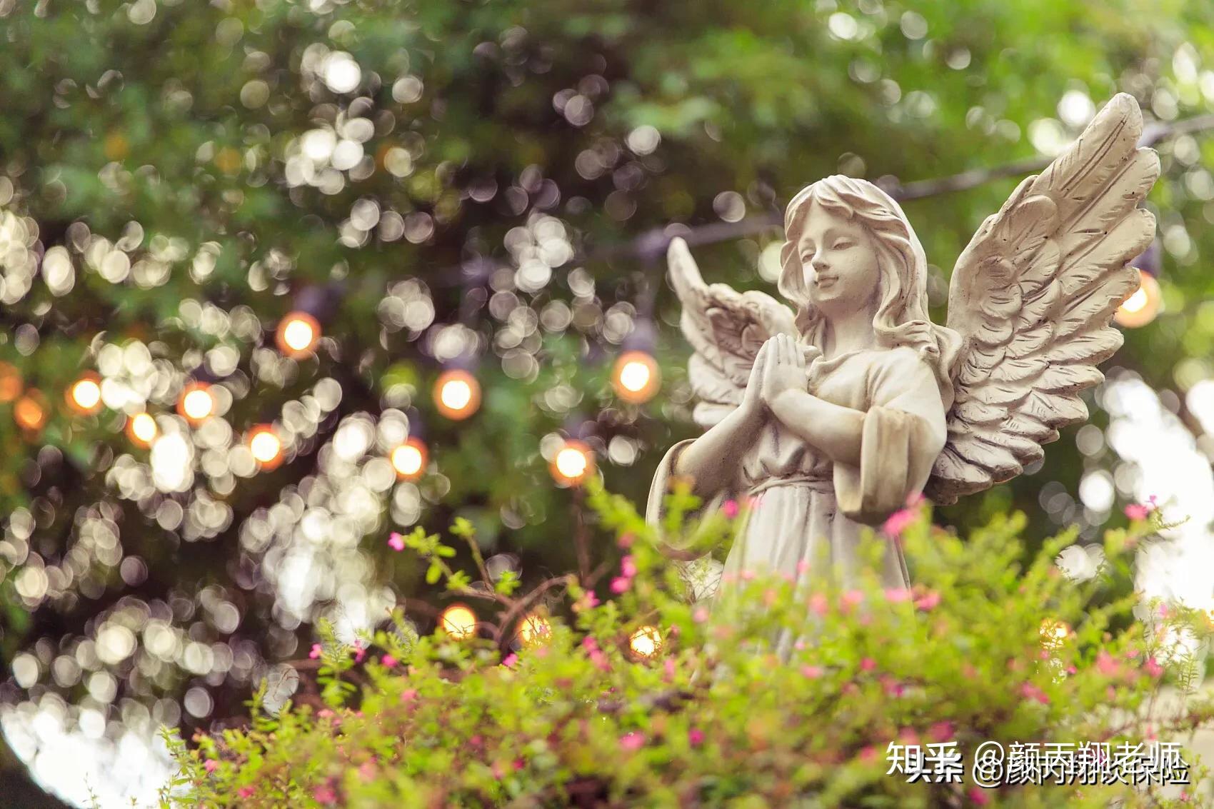 论语295：用天使的眼睛，去看自己的一生 - 知乎
