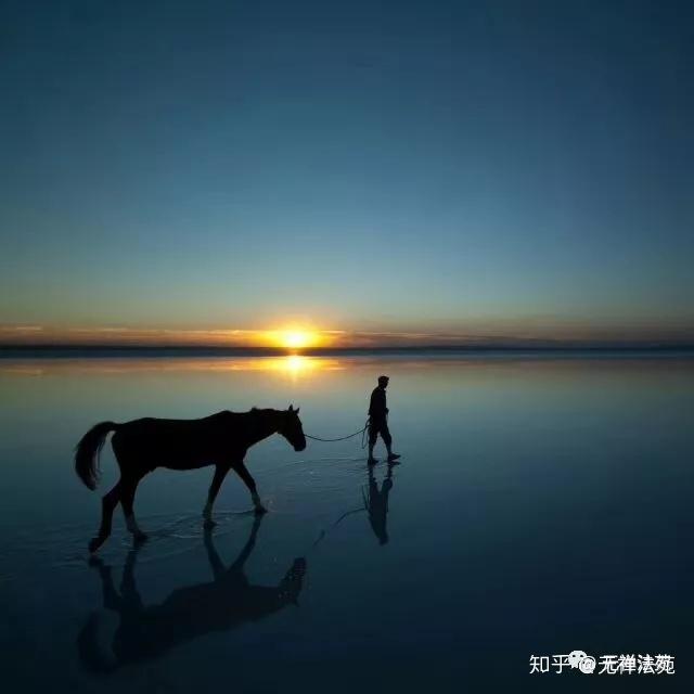 v2-03d65e150ecc529d4027d95f15b42037_r.jpg