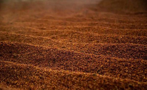 酱香型白酒下沙工艺是什么,下沙和糙沙有什么区别! - 知乎