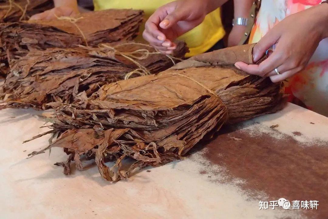 古巴雪茄知多少—从烟田到成品雪茄 - 知乎