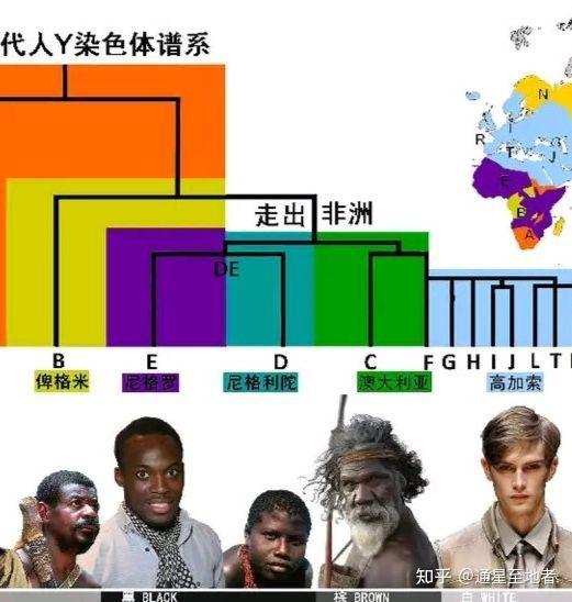 中国人是闪米特后代，诺亚方舟故事科学性。人类起源非洲又在中亚发展 - 知乎