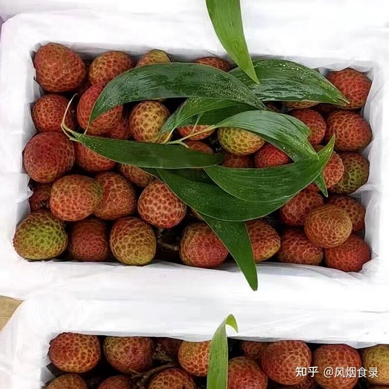 中国的荔枝到底有多少种？哪的荔枝最好吃？该怎么选？一文全读懂 - 知乎