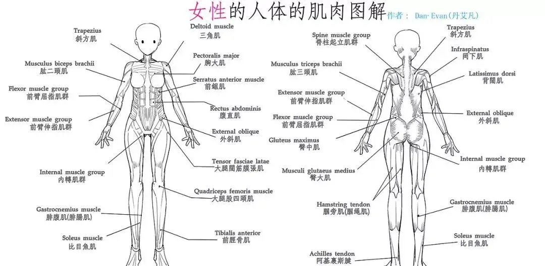 风靡全球2亿女性 亚洲瘦身女王郑多燕 10节终极美体速瘦操