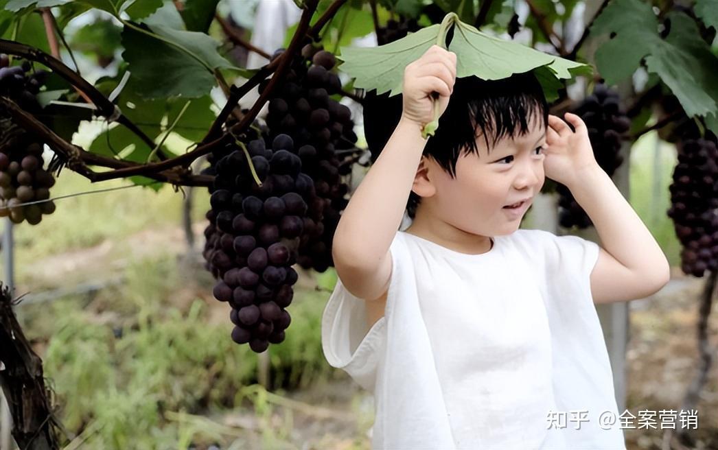 争创天府旅游名县|再见2022,细数那些时光里的小美好