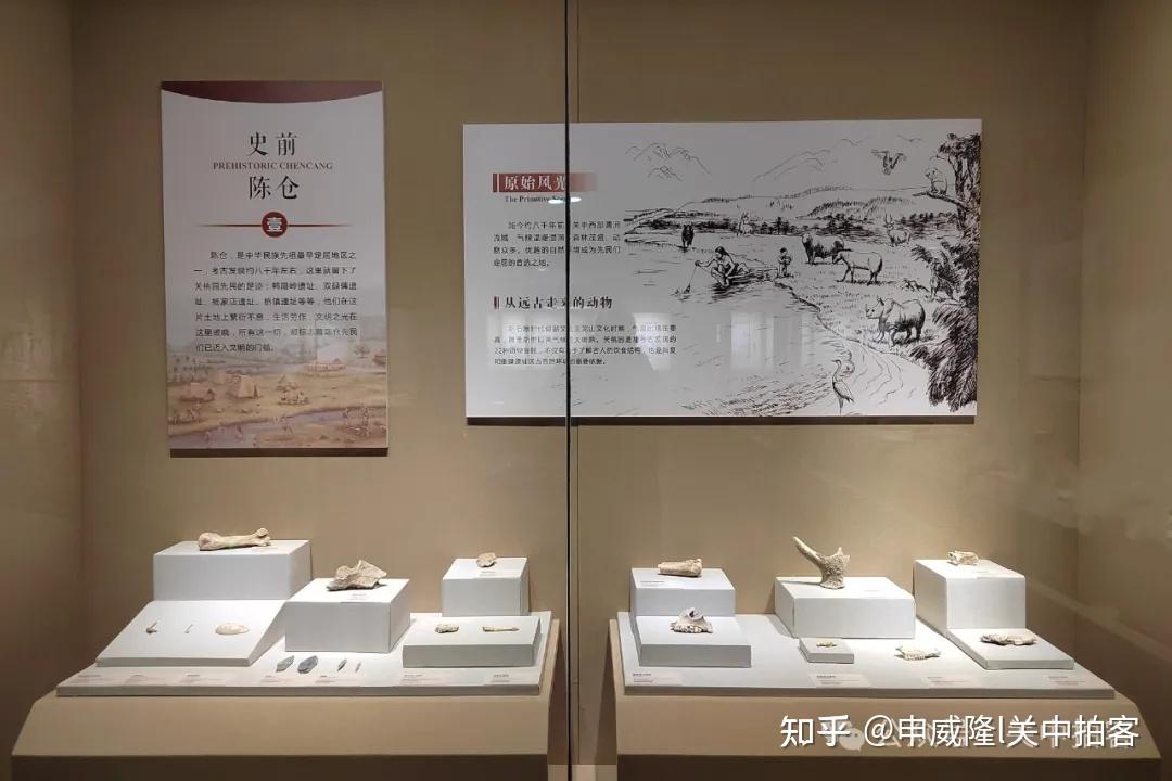 陈仓记忆：参观宝鸡市陈仓区博物馆 - 知乎