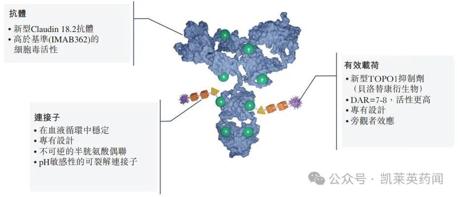 (二)单抗1,a167(pd-l1单抗)a167是科伦博泰开发的pd-l1单抗,通过抑制